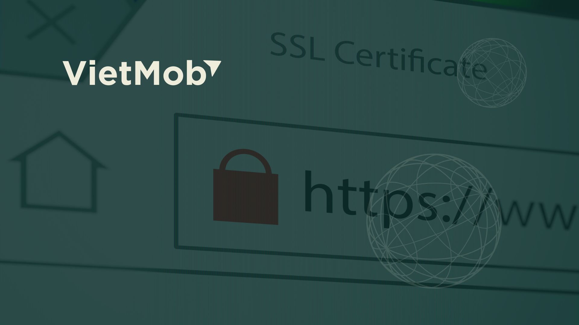 Chỉ từ 250k/tháng